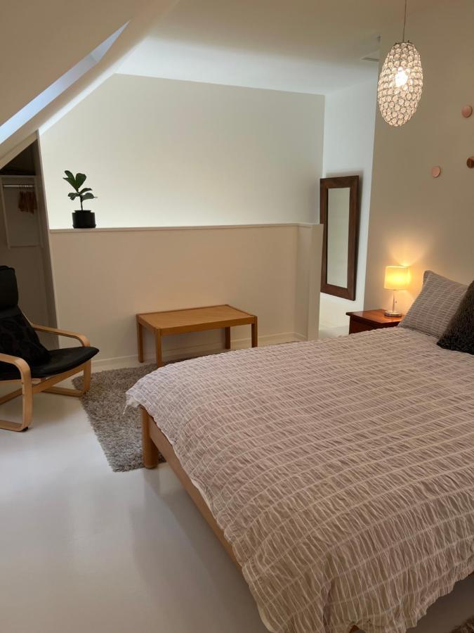Beech Hill - Pet Friendly Holiday Home Tasman 外观 照片