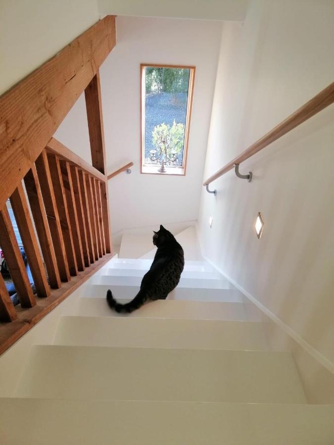 Beech Hill - Pet Friendly Holiday Home Tasman 外观 照片