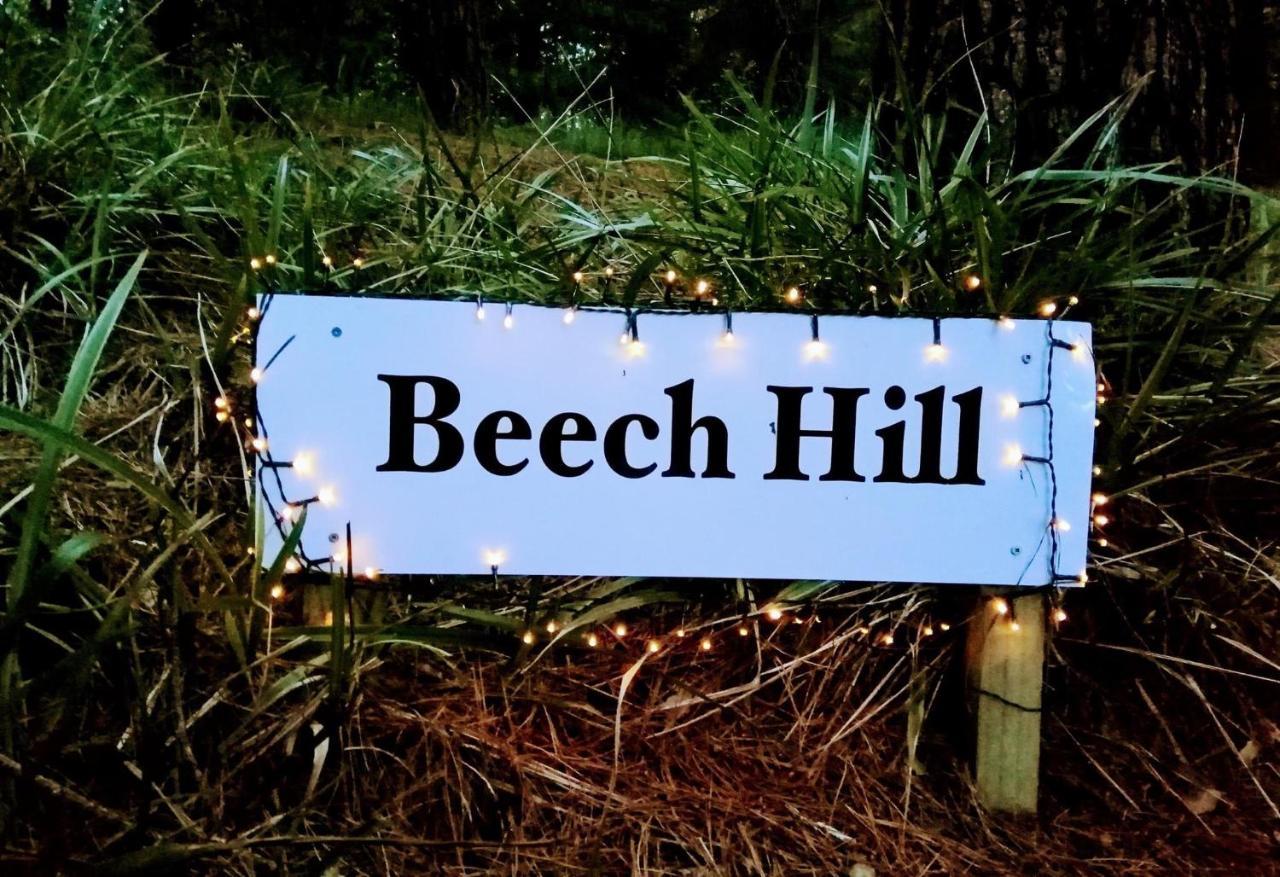 Beech Hill - Pet Friendly Holiday Home Tasman 外观 照片