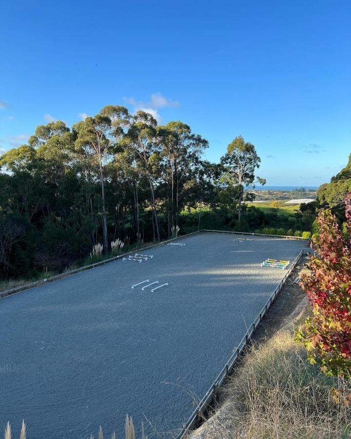 Beech Hill - Pet Friendly Holiday Home Tasman 外观 照片