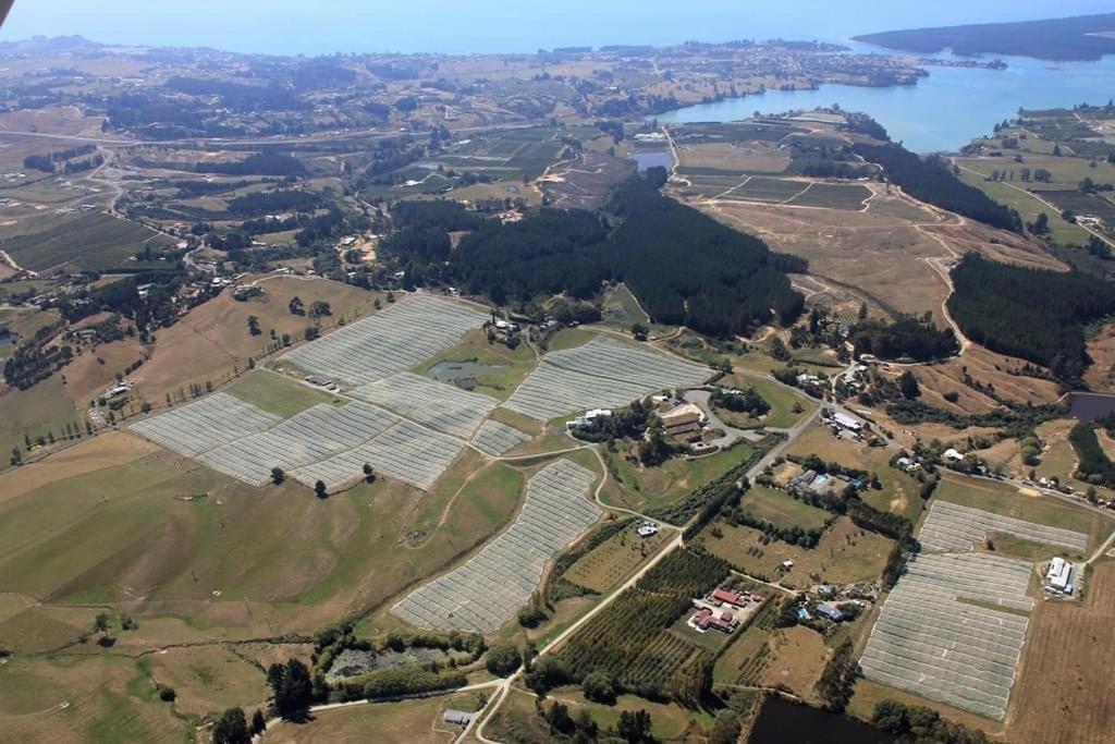 Beech Hill - Pet Friendly Holiday Home Tasman 外观 照片