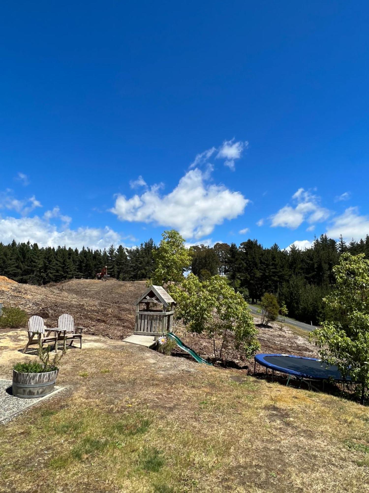 Beech Hill - Pet Friendly Holiday Home Tasman 外观 照片